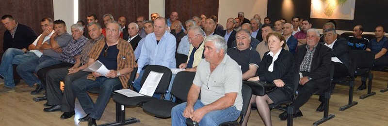 საინფორმაციო კამპანია ბოლნისში