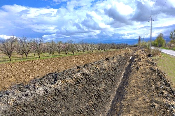 შიდა ქართლში 200 ჰექტარ სასოფლო-სამეურნეო მიწის ფა