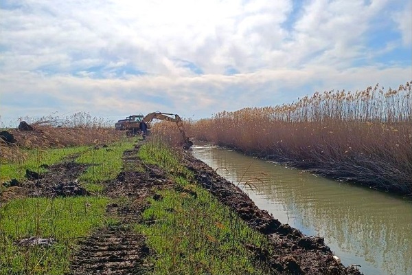 ქვემო ქართლში, 300 ჰექტარ სასოფლო-სამეურნეო მიწის 