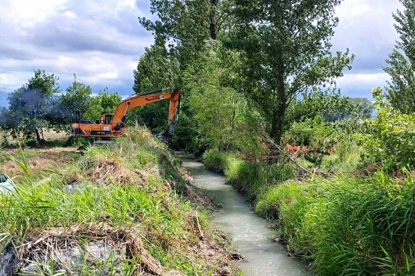 ქარელის მუნიციპალიტეტში 100 ჰექტარამდე სასოფლო-სამ