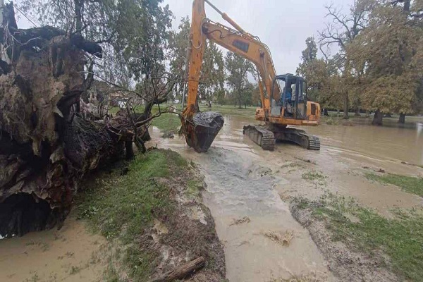 „საქართველოს მელიორაცია“ სტიქიით გამოწვეულ სალიკვი
