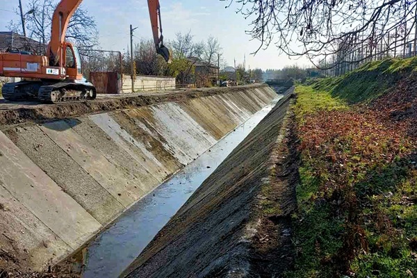 ზემო ალაზნის მაგისტრალური არხი ხე-ბუჩქნარისა და და