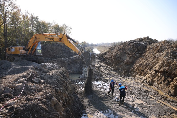 ქუთაისის საერთაშორისო აეროპორტის ტერიტორიაზე სანია