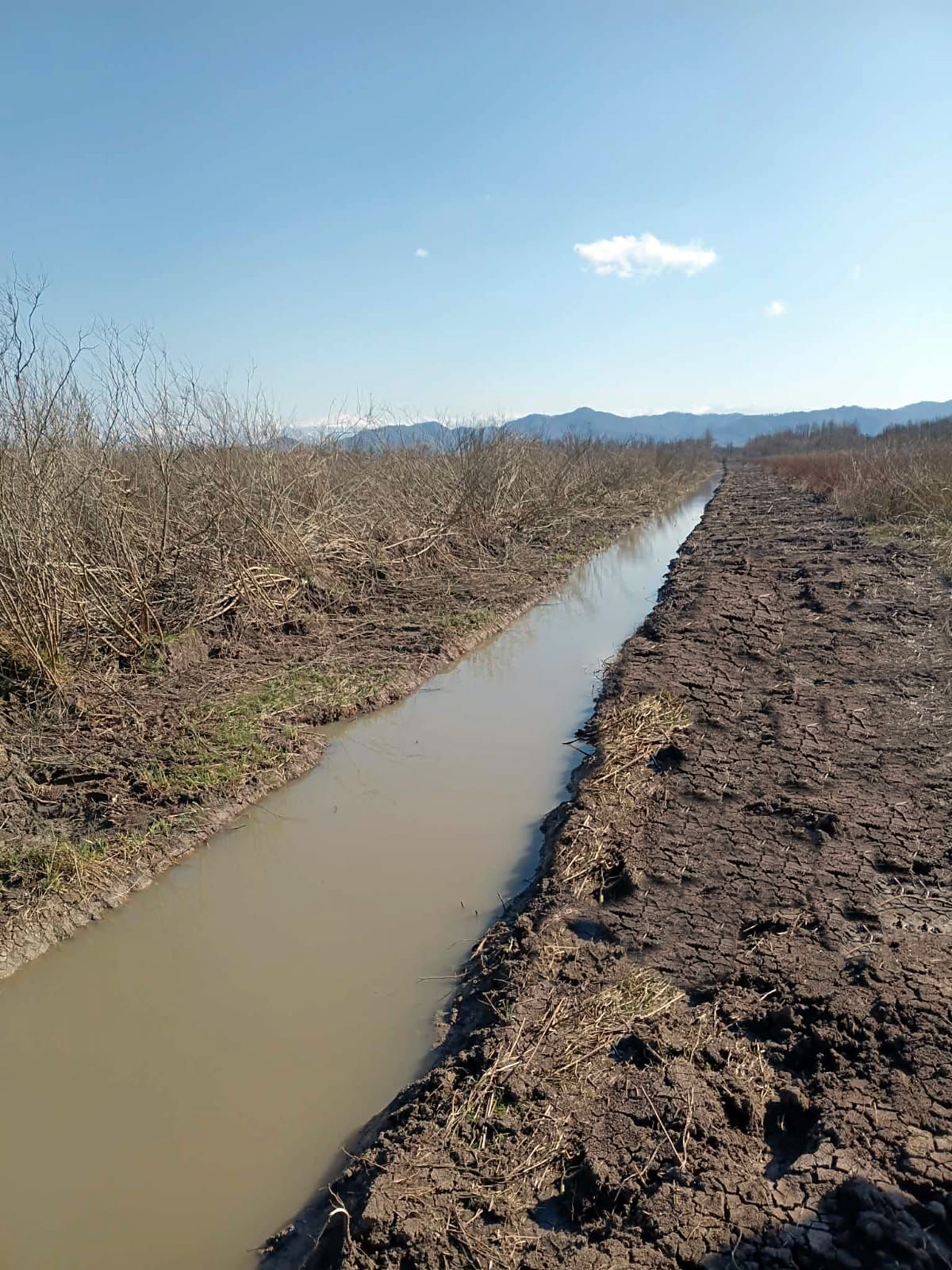 ლანჩხუთის მუნიციპალიტეტში სადრენაჟე სისტემის გაწმენდითი სამუშაოები მიმდინარეობს