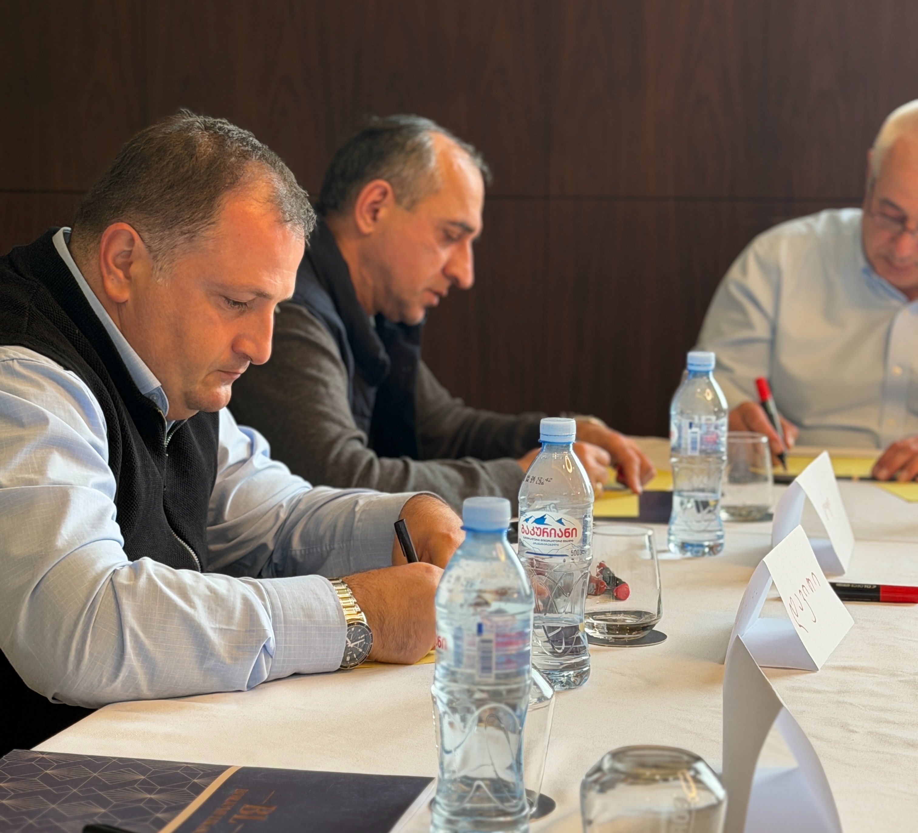 სამუშაო შეხვედრა სტრატეგიული განვითარების საკითხებზე – 2