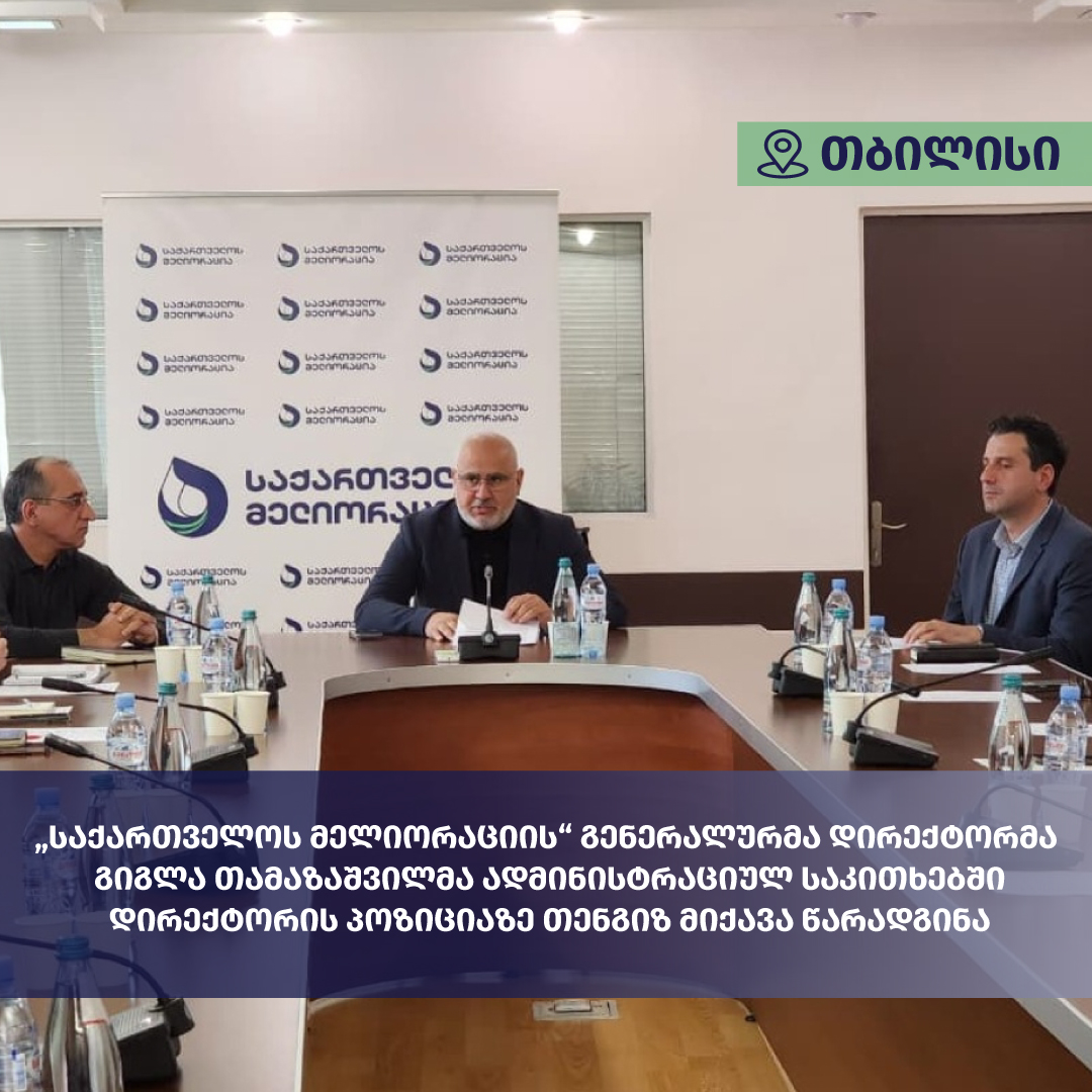 „საქართველოს მელიორაციის“ გენერალურმა დირექტორმა გიგლა თამაზაშვილმა ადმინისტრაციულ საკითხებში დირექტორის პოზიციაზე თენგიზ მიქავა წარადგინა
